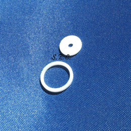 Teflon Diffuser and O-Ring for Steam Wand
