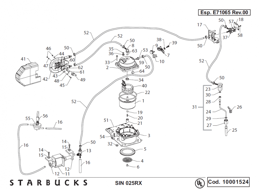 Starbucks Sirena Drawing 2