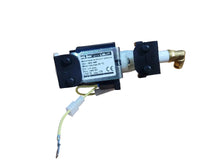 Load image into Gallery viewer, Olab Lelit Silent Green Pump Assembly 120v
