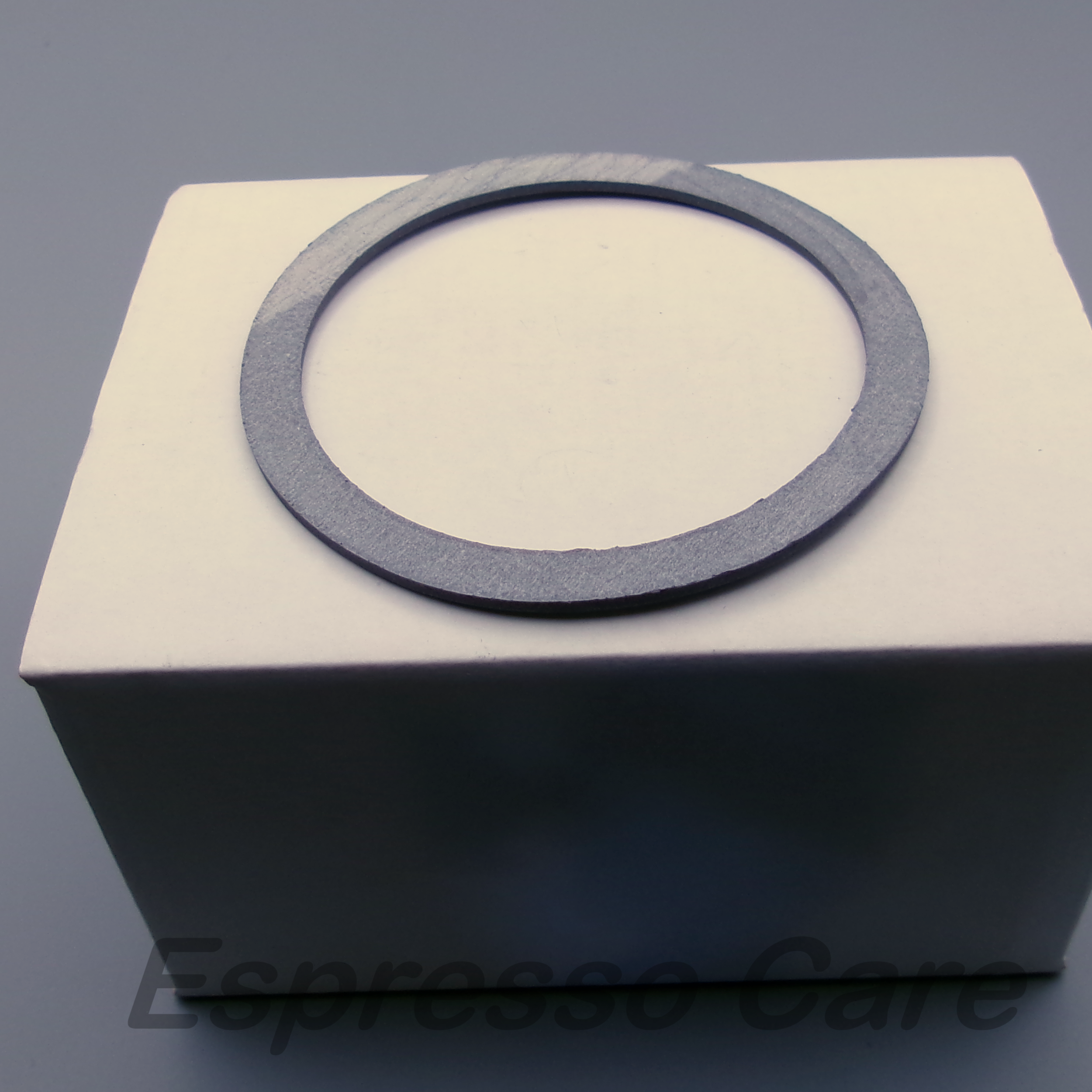 La Pavoni Flat Heating Element Gasket