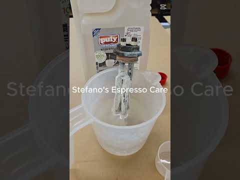 Détartrant PULY DESCALER Pour Machine à Café Expresso - Lot De 2 Flacons 125 Ml - Nettoie Chaudière Et Circuit Hydraulique